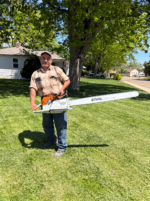 STIHL MS 881 MAGNUM Gas Chainsaw - Image 2