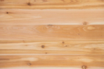 Barakula 10x10 Cedar Timber Shed | Stilla - Image 8