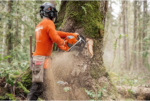 Husqvarna 592 XP Chainsaw 32 Inch - Image 7