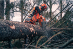 Husqvarna 592 XP Chainsaw 32 Inch - Image 6