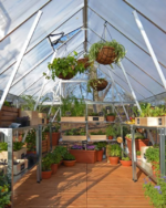 8' x 20' Greenhouse with Galvanized Steel Frame - Image 7