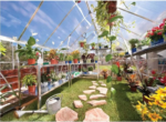 8' x 20' Greenhouse with Galvanized Steel Frame - Image 4